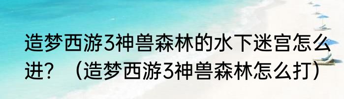 造梦西游3神兽森林的水下迷宫怎么进？（造梦西游3神兽森林怎么打）