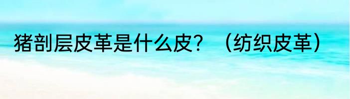 猪剖层皮革是什么皮？（纺织皮革）