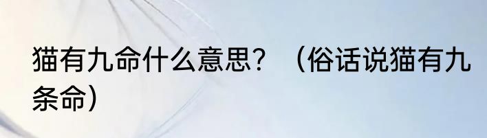猫有九命什么意思？（俗话说猫有九条命）