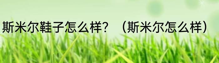 斯米尔鞋子怎么样？（斯米尔怎么样）