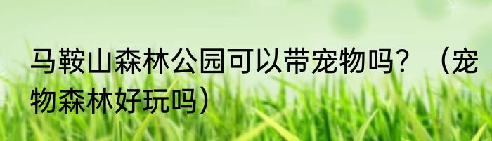 步步高家教机h9拍照在线答疑怎么用？（步步高家教机超级公开课）