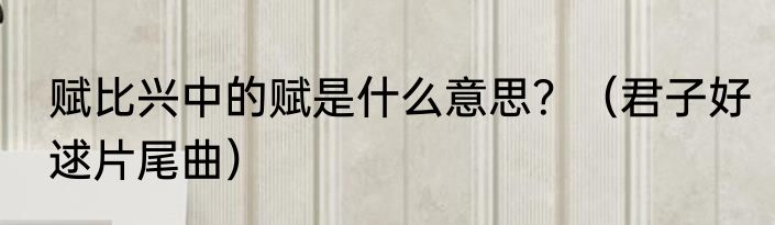 赋比兴中的赋是什么意思？（君子好逑片尾曲）