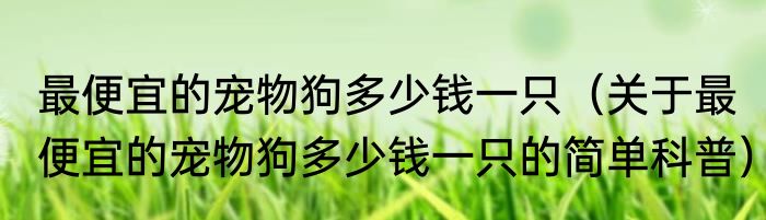 最便宜的宠物狗多少钱一只（关于最便宜的宠物狗多少钱一只的简单科普）