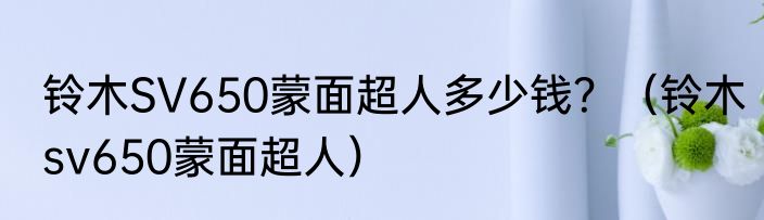 铃木SV650蒙面超人多少钱？（铃木sv650蒙面超人）