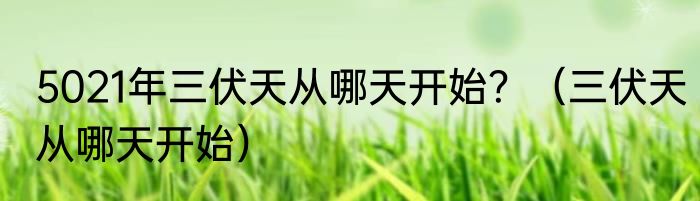 5021年三伏天从哪天开始？（三伏天从哪天开始）