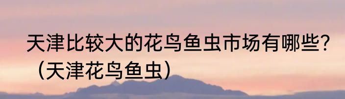 天津比较大的花鸟鱼虫市场有哪些？（天津花鸟鱼虫）