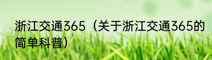 浙江交通365（关于浙江交通365的简单科普）