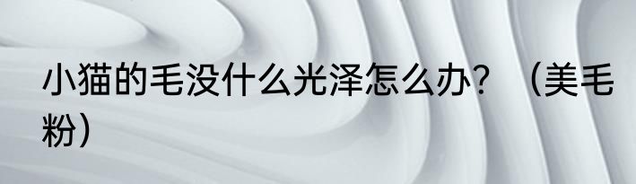 小猫的毛没什么光泽怎么办？（美毛粉）