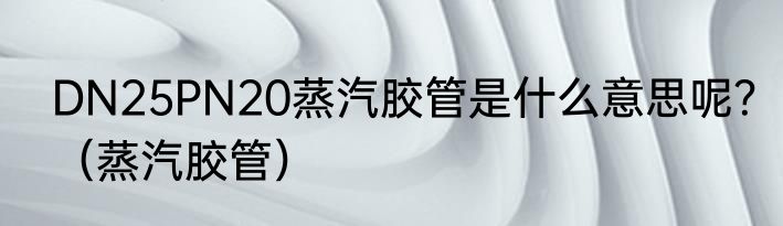 DN25PN20蒸汽胶管是什么意思呢？（蒸汽胶管）