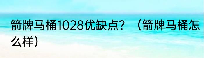 箭牌马桶1028优缺点？（箭牌马桶怎么样）