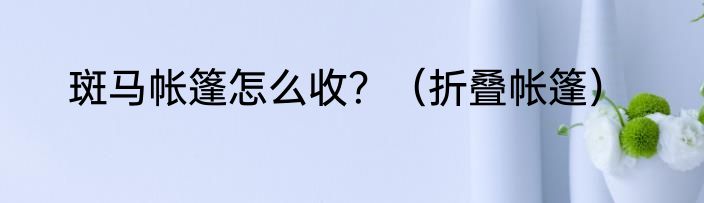 斑马帐篷怎么收？（折叠帐篷）