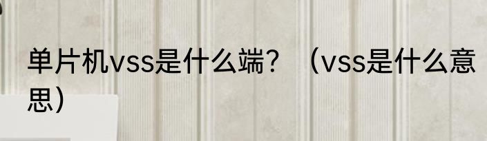 单片机vss是什么端？（vss是什么意思）