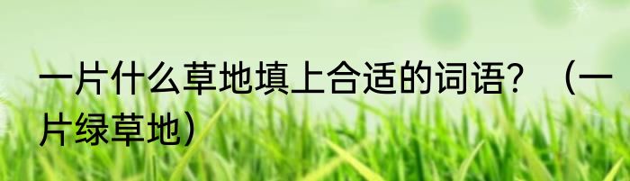 一片什么草地填上合适的词语？（一片绿草地）