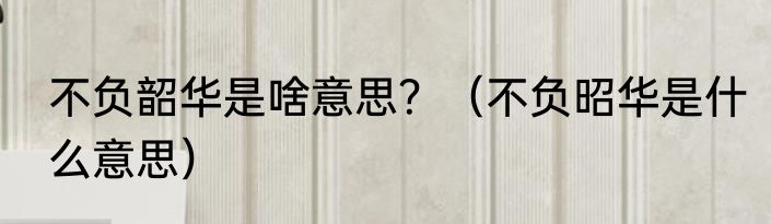 不负韶华是啥意思？（不负昭华是什么意思）