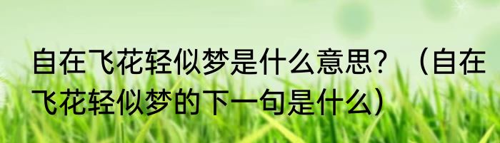 自在飞花轻似梦是什么意思？（自在飞花轻似梦的下一句是什么）