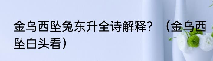金乌西坠兔东升全诗解释？（金乌西坠白头看）