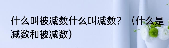 什么叫被减数什么叫减数？（什么是减数和被减数）
