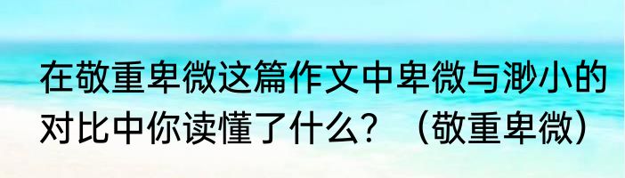 在敬重卑微这篇作文中卑微与渺小的对比中你读懂了什么？（敬重卑微）