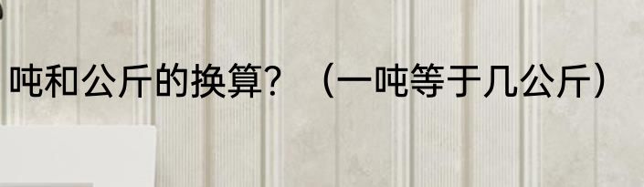 吨和公斤的换算？（一吨等于几公斤）