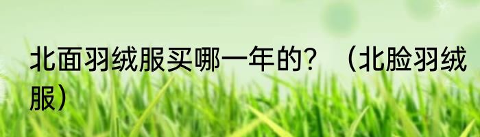 北面羽绒服买哪一年的？（北脸羽绒服）