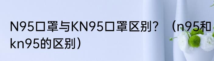 N95口罩与KN95口罩区别？（n95和kn95的区别）