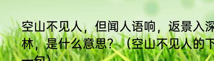 空山不见人，但闻人语响，返景入深林，是什么意思？（空山不见人的下一句）