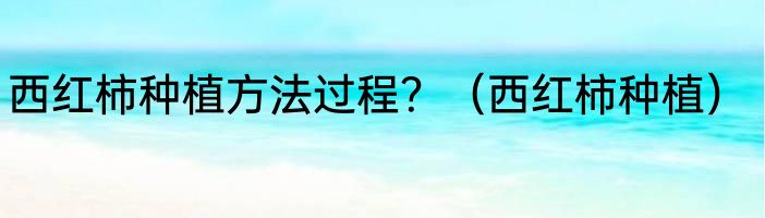 西红柿种植方法过程？（西红柿种植）
