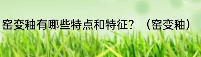 窑变釉有哪些特点和特征？（窑变釉）