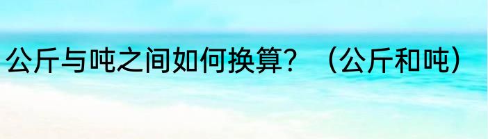 公斤与吨之间如何换算？（公斤和吨）