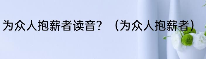 为众人抱薪者读音？（为众人抱薪者）