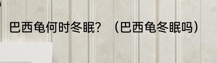 巴西龟何时冬眠？（巴西龟冬眠吗）