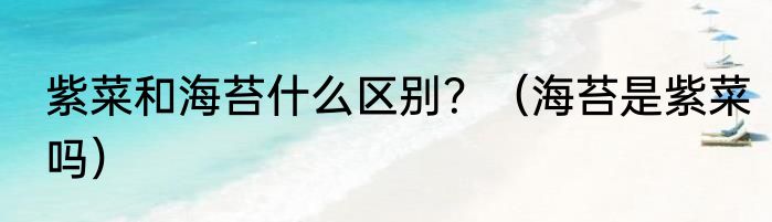 紫菜和海苔什么区别？（海苔是紫菜吗）