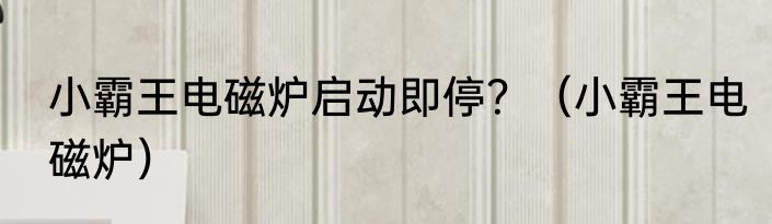 小霸王电磁炉启动即停？（小霸王电磁炉）