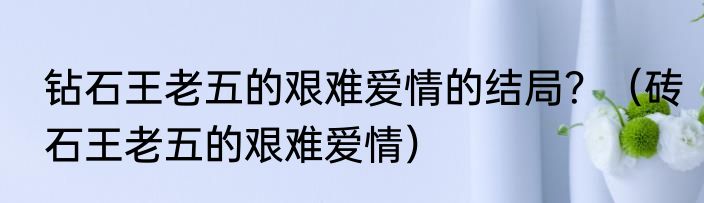 钻石王老五的艰难爱情的结局？（砖石王老五的艰难爱情）