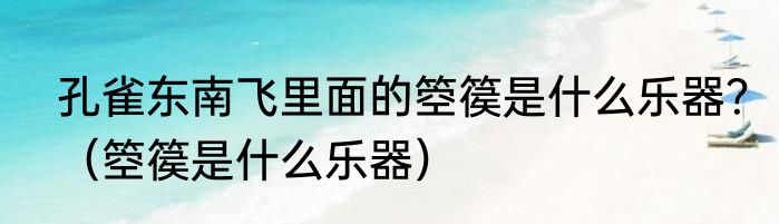 孔雀东南飞里面的箜篌是什么乐器？（箜篌是什么乐器）