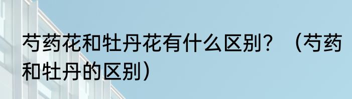 芍药花和牡丹花有什么区别？（芍药和牡丹的区别）