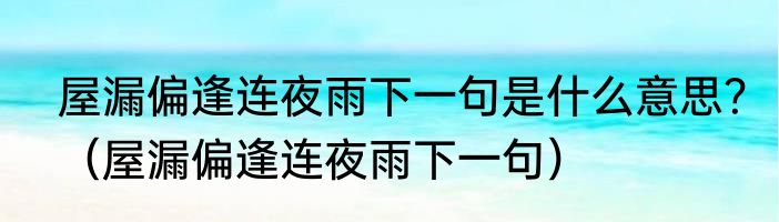 屋漏偏逢连夜雨下一句是什么意思？（屋漏偏逢连夜雨下一句）