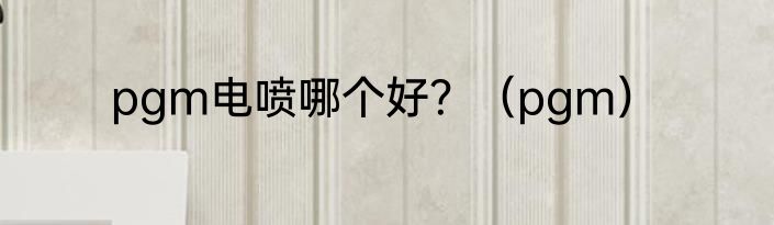 pgm电喷哪个好？（pgm）