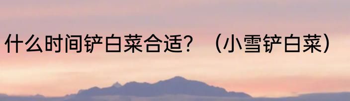 什么时间铲白菜合适？（小雪铲白菜）