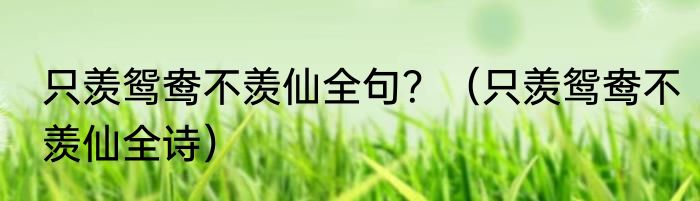 只羡鸳鸯不羡仙全句？（只羡鸳鸯不羡仙全诗）