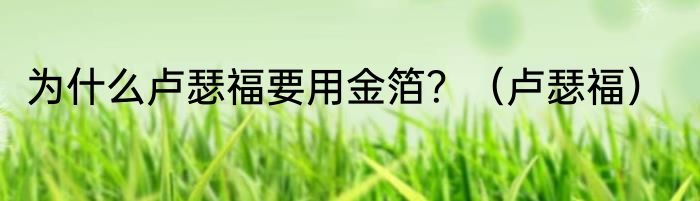 为什么卢瑟福要用金箔？（卢瑟福）