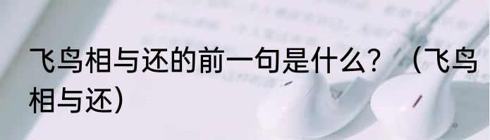飞鸟相与还的前一句是什么？（飞鸟相与还）