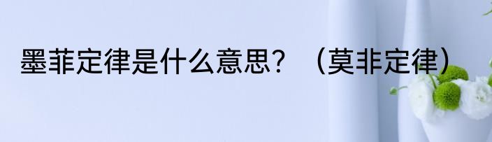 墨菲定律是什么意思？（莫非定律）