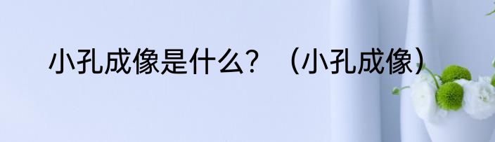 小孔成像是什么？（小孔成像）