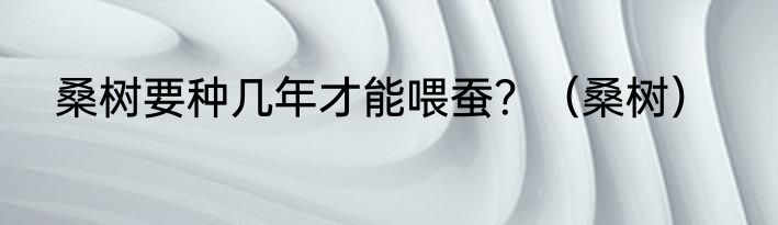 桑树要种几年才能喂蚕？（桑树）