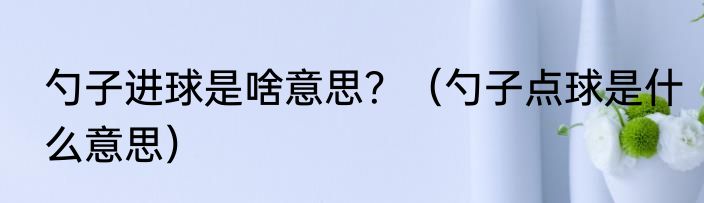 勺子进球是啥意思？（勺子点球是什么意思）