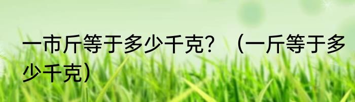 一市斤等于多少千克？（一斤等于多少千克）