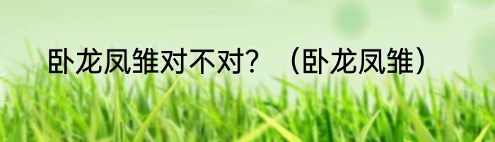 卧龙凤雏对不对？（卧龙凤雏）