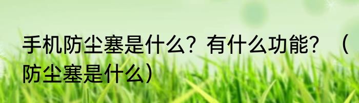 手机防尘塞是什么？有什么功能？（防尘塞是什么）