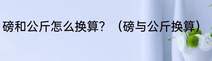 磅和公斤怎么换算?(磅与公斤换算)